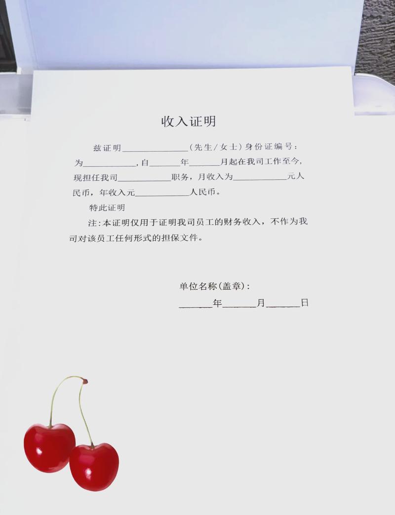 保定代开收入证明的正确姿势：张会计的突围战